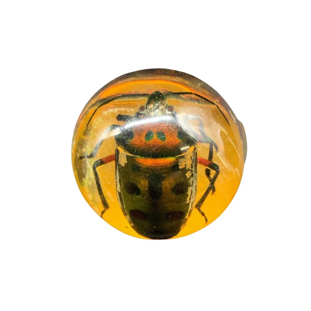 Vintage 1970's Lucite Amber Ring with Preserved Embedded Beatle Specimen